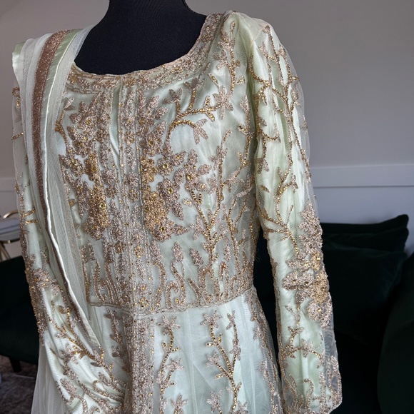 Light Green Indian Net Gown Overlay - Picture 3 of 9